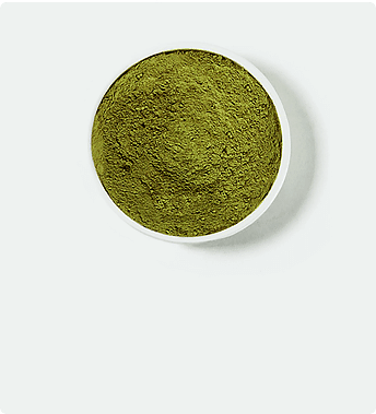 Biela odroda kratomu v miske
